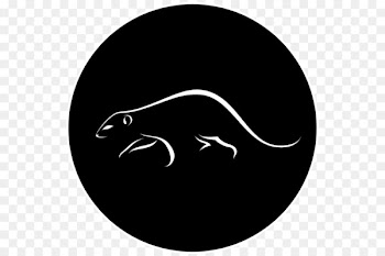 Sweden National Geographic Society Nail art rewardStyle Startup company - Mongoose Animal Pictures 