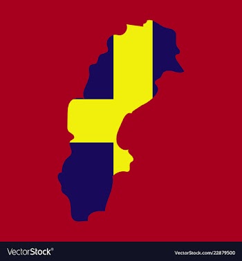 Sweden set detailed country shape with region vector image