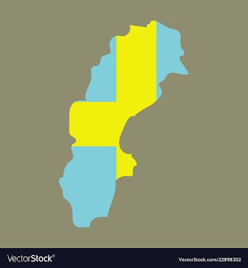 Sweden set detailed country shape with region vector image
