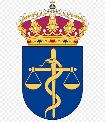 Swedish Defence University National Defence Radio Establishment Swedish Navy Swedish Armed Forces Military Academy Karlberg - bad insignia 