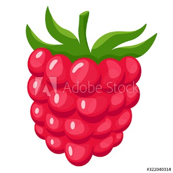 Sweet delicious raspberry