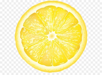 Sweet Lemon Citron Grapefruit Citrus junos - Round Lemon Slice PNG Clip Art Image 