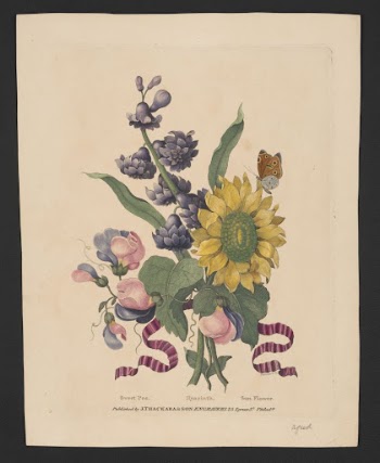 Sweet pea, hyacinth, sun flower | Free Photo - rawpixel