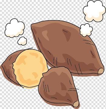 Sweet potato Cartoon, Sweet potato sketch transparent background PNG clipart