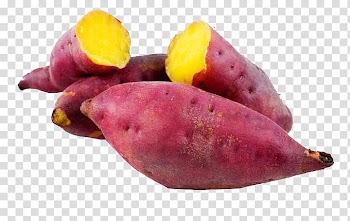 Sweet potato illustration, Sweet potato Nutrition Vegetable Yam, sweet potato transparent background PNG clipart