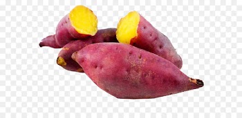 Sweet potato Nutrition Vegetable Yam - sweet potato 