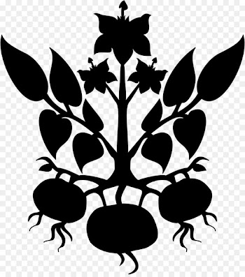 Sweet Potato Pie, Potato, Sweet Potatoes, Leaf, Botany PNG