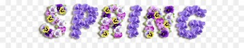 Sweet violet Viola sororia Color Spring - Spring Violets PNG Clipart Picture 