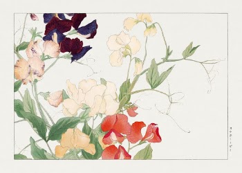 Sweetpea flower, Japanese woodblock art | Free Photo Illustration - rawpixel