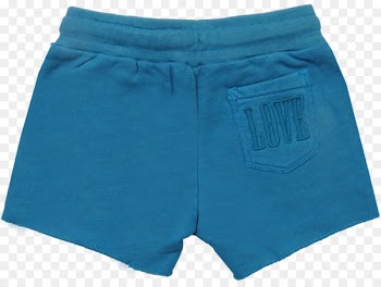 Swim Briefs, Briefs, Bermuda Shorts, Clothing, Shorts PNG