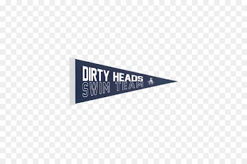 Swim Team Dirty Heads Pennant Logo Phonograph record - lifeguard tower 