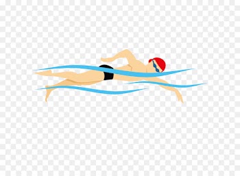 Swimming Euclidean vector Illustration - Vector Swimming 