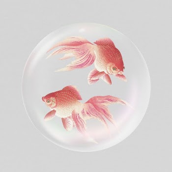 Swimming goldfish sticker, animal in bubble | Free PSD - rawpixel