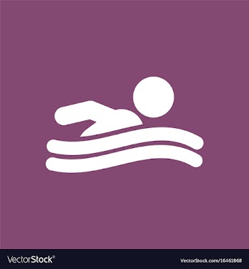 Swimming icon sign vector image