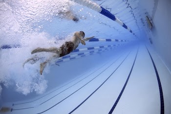          Swimming Pool Free Photo     