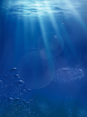 Swimming Training Poster - Swimming training underwater background 