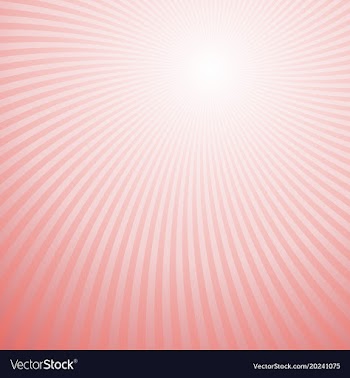 Swirl background from rotated rays vector image