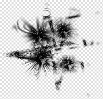 Swirl Brushes, black abstract transparent background PNG clipart