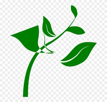 Swirl, Nature, Landscapes - Growing Plant Clip Art