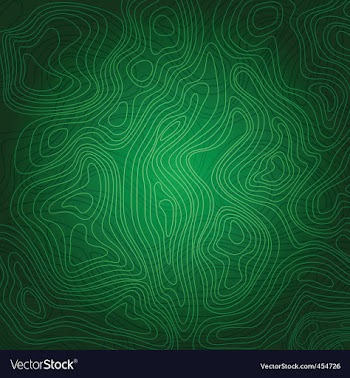 Swirls vector image