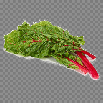 Swiss Chard PNG Image Background