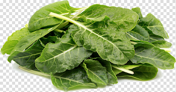 Swiss Chard Transparent Image