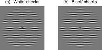 Swiss cheese stimuli (pedestals and targets). One phase of checks ...