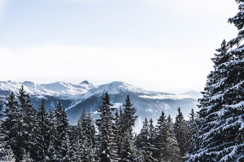 Swiss Landscape