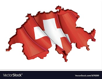  					Swiss Map Flag vector image														