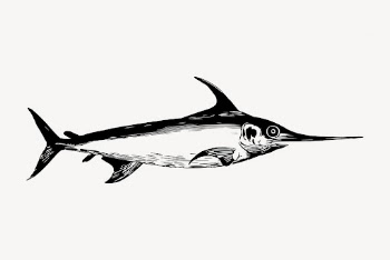 Swordfish animal clipart, vintage illustration | Free Vector - rawpixel