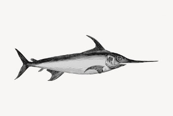 Swordfish animal clipart, vintage illustration | Free Vector - rawpixel