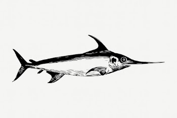 Swordfish animal collage element, vintage | Free PSD - rawpixel
