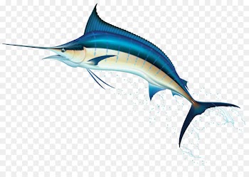 Swordfish Clip art - under water 