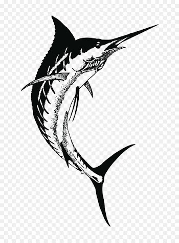 Swordfish Drawing Greater amberjack Clip art - fish 