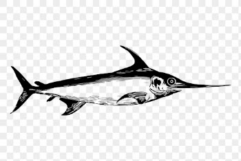 Swordfish drawing png, animal sticker | Free PNG - rawpixel