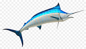 Swordfish Fishing - Fish 