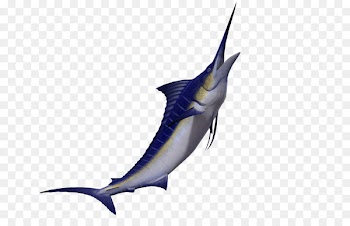 Swordfish Marlin 3D computer graphics - 3d Animals Marine creative 