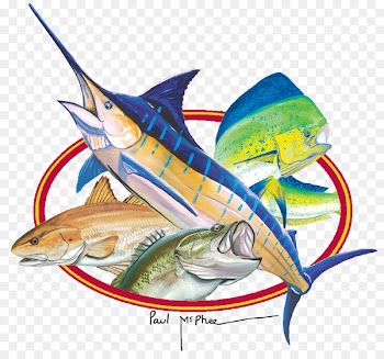 Swordfish Sardine Oily fish Usted - Watercolor Fishing 