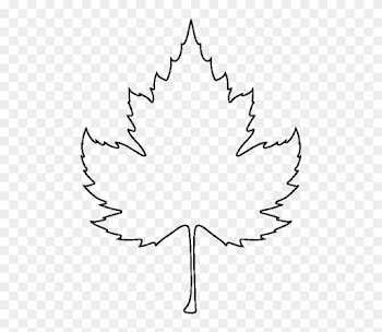 Sycamore Leaf Pattern - Outline Images Of Leaves