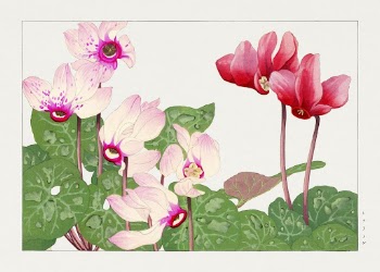 Syclamen woodblock painting by Tanigami | Free Photo Illustration - rawpixel