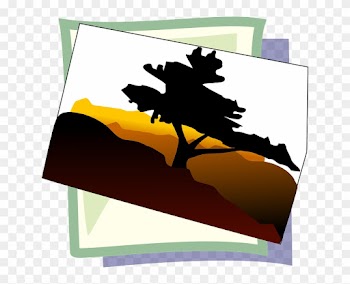 Symbol, Image, Photo, Icon - Bonsai Tree Clip Art