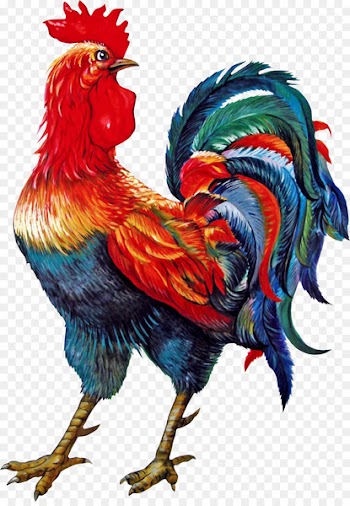 Symbol New Year Rooster Holiday - rooster 