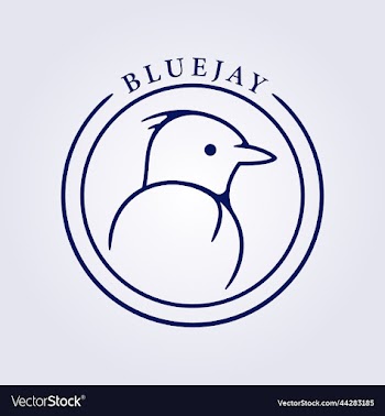 symbol of bluejay in line art for logo icon