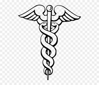 Symbol, Pin, Doctor, Wing, Free, Pharmacy, Staff - Medical Caduceus