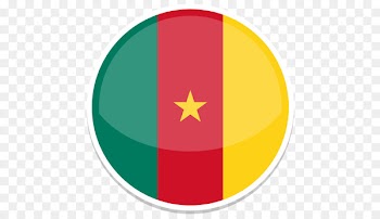 symbol yellow flag circle - Cameroon 