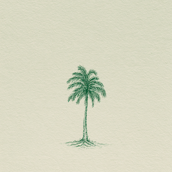 Symbolic Palm Tree with Roots