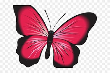 Symmetry Clipart Nature Clipart - Symmetry Clipart Nature Clipart