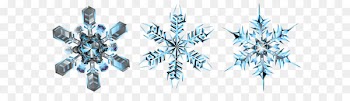 Symmetry - Crystal Snowflakes Transparent PNG Clip Art Image 