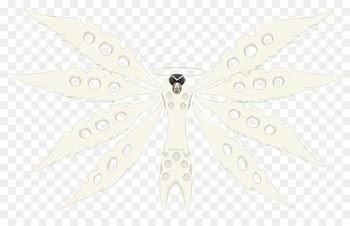 Symmetry, White, Insect PNG