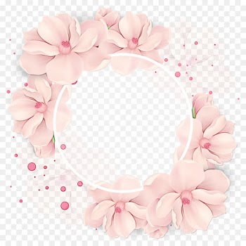 Symposium, Petal, Party, Pink PNG